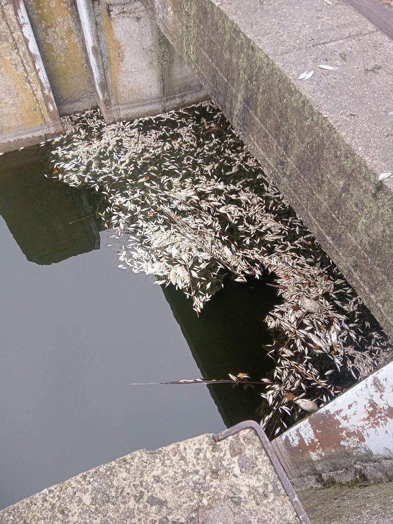 фото_2024-10-14_20-34-37 (6)