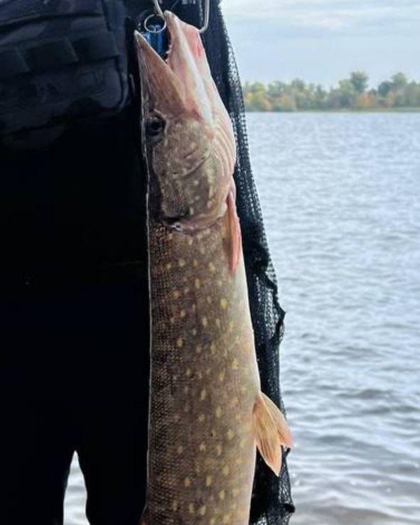 462699759_886331546927504_2446515549528219030_н (3)