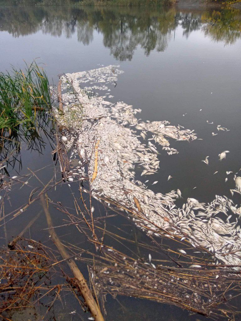 фото_2024-10-14_20-34-36