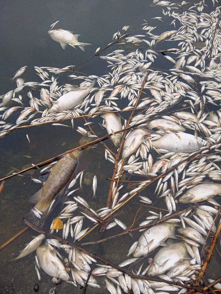 фото_2024-10-14_20-34-37 (5)