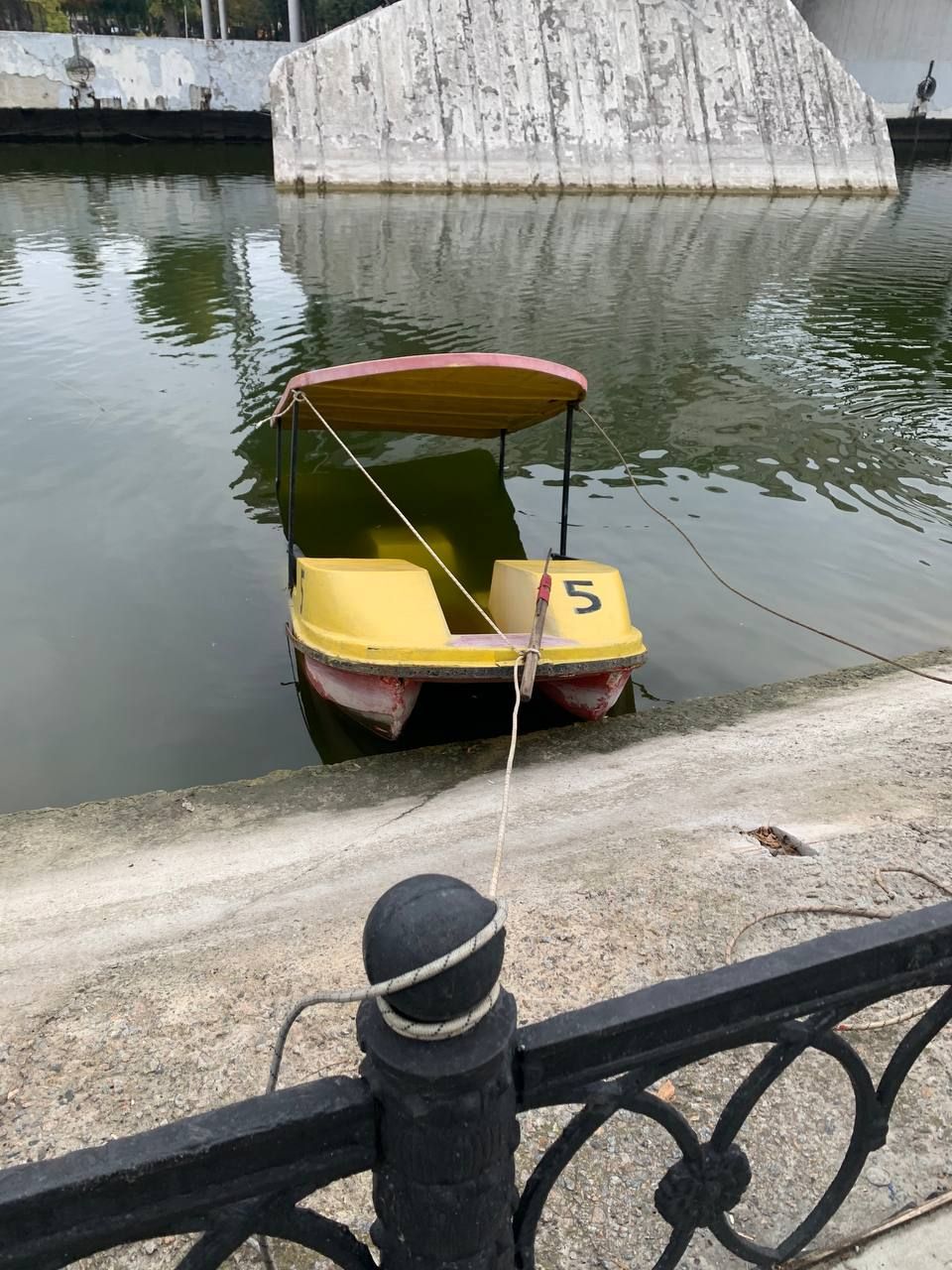 photo_2024-10-20_14-45-38