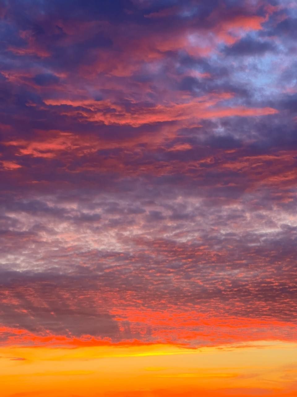 У Дніпрі зафіксували неймовірний захід сонця: приголомшливі фото