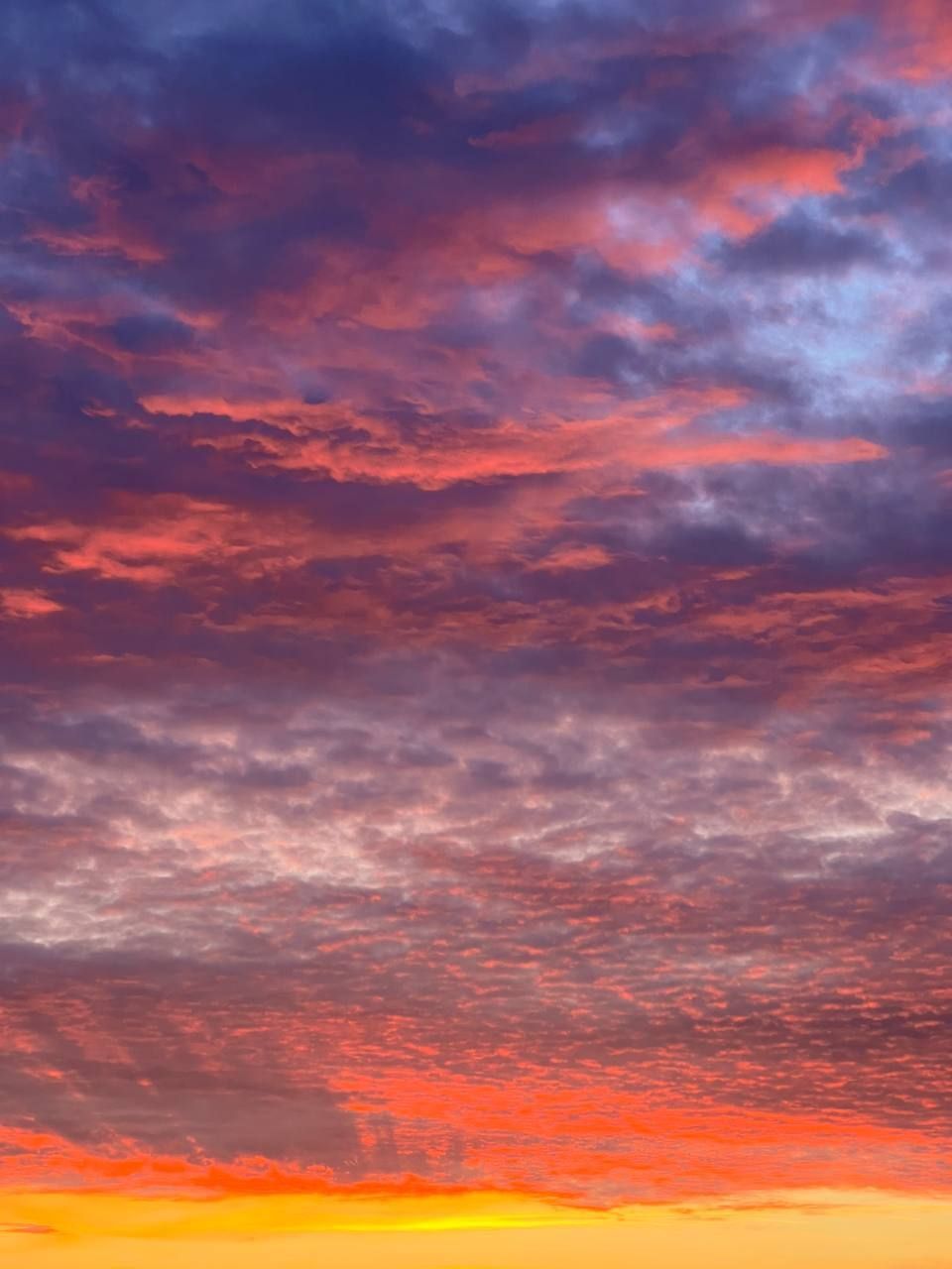 У Дніпрі зафіксували неймовірний захід сонця: приголомшливі фото