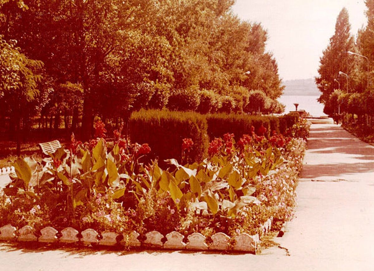 pridn_21
