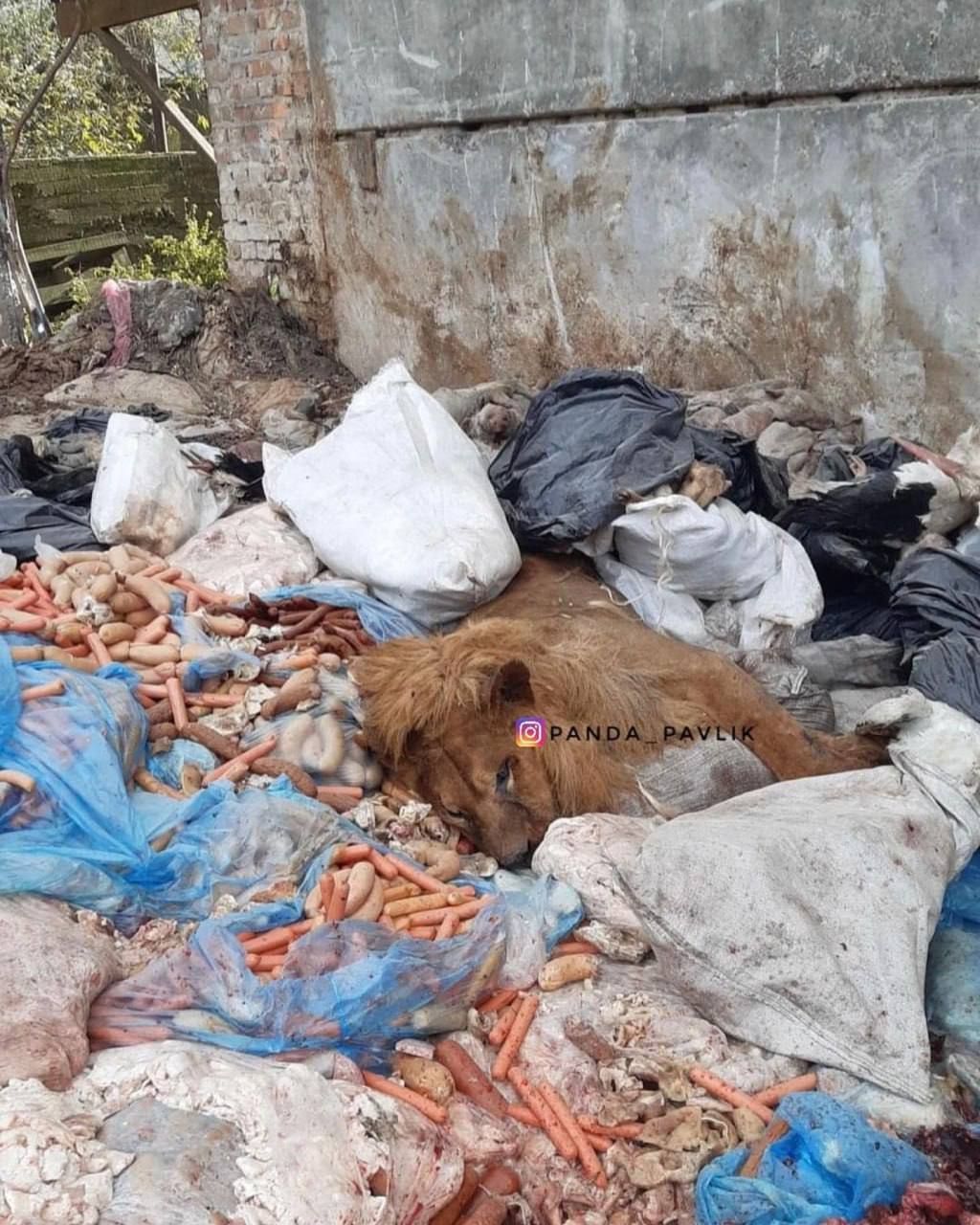 photo_2024-10-27_11-46-32