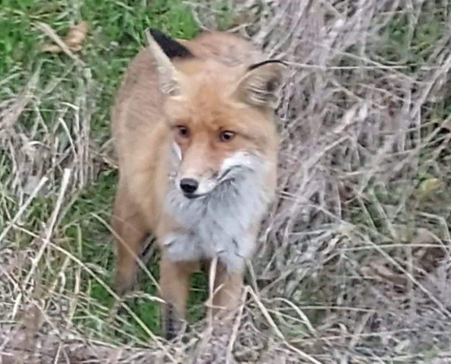 фото_2024-10-29_15-02-46 (2)