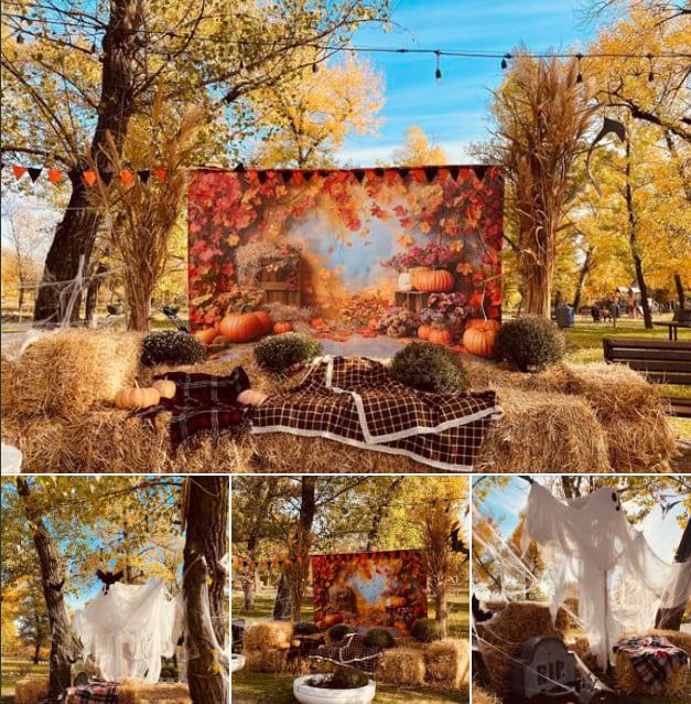 фото_2024-10-30_14-46-02