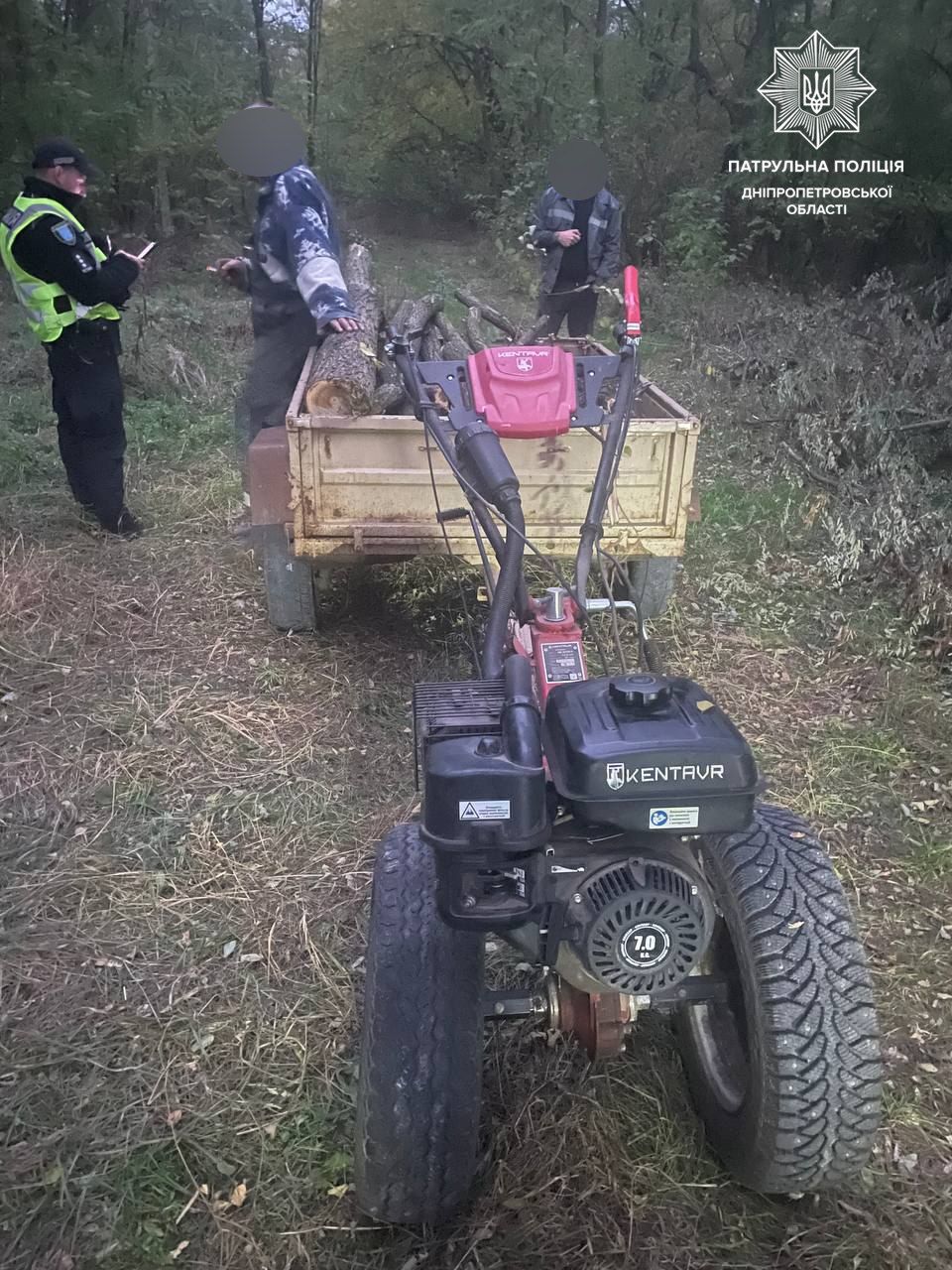 В Днепре неизвестные незаконно пилили деревья в Новокодакском районе