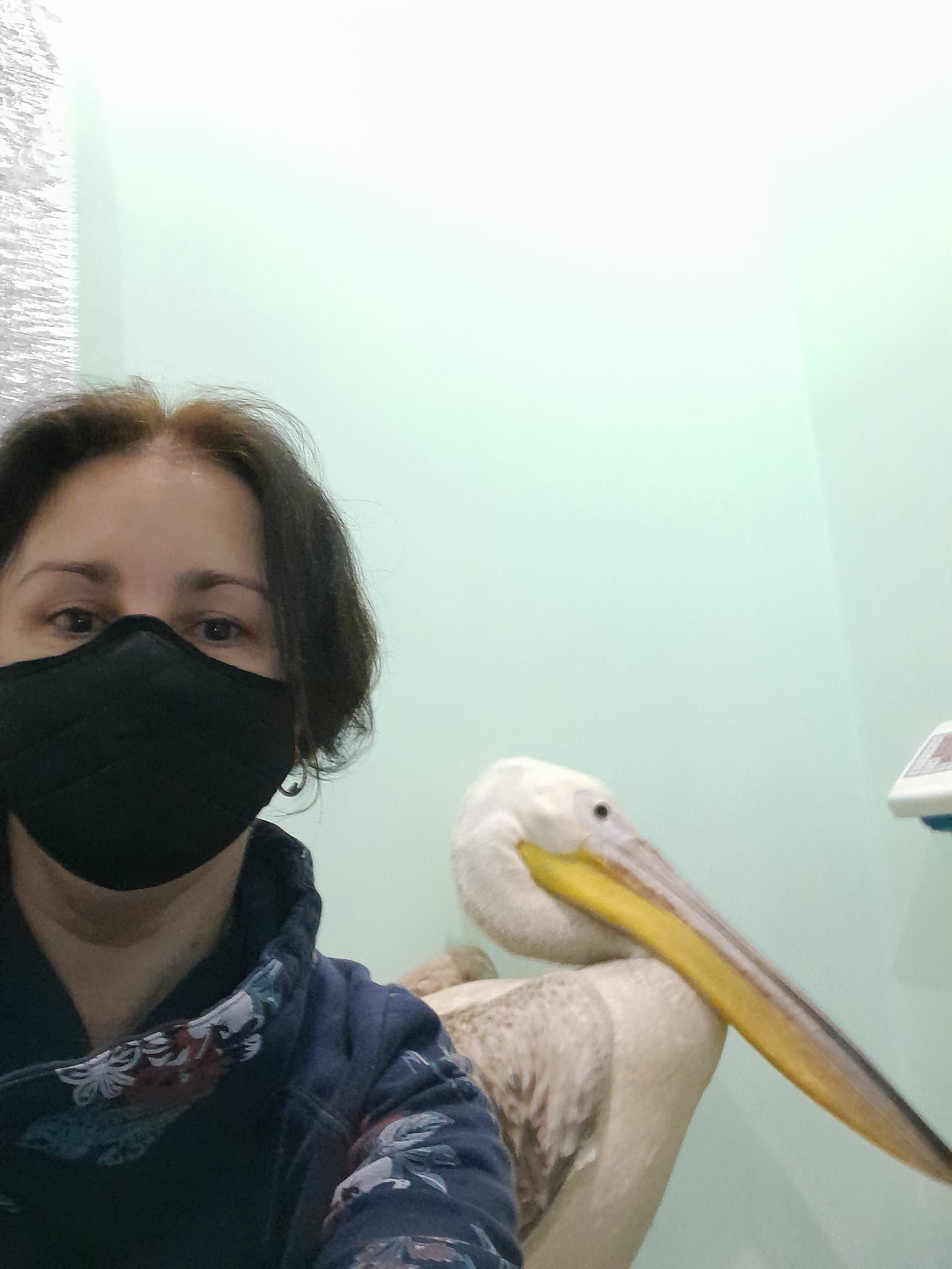 465262379_2320286034980944_8816113435465594778_n