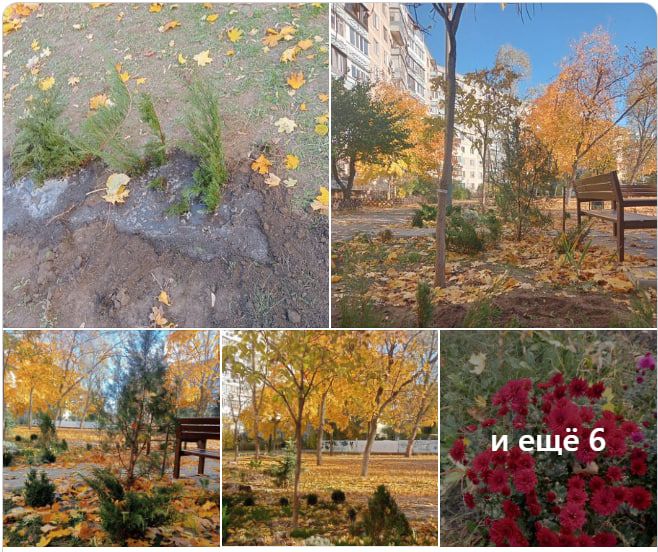 photo_2024-11-03_17-49-58