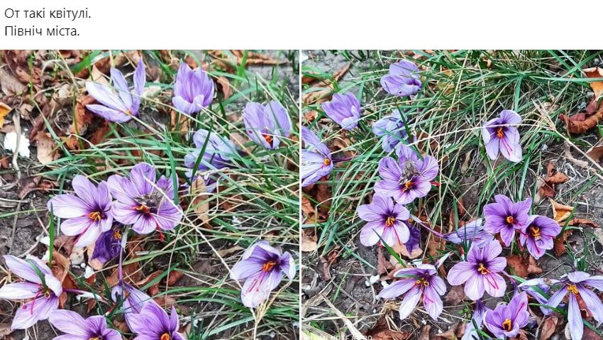 photo_2024-11-04_09-34-47