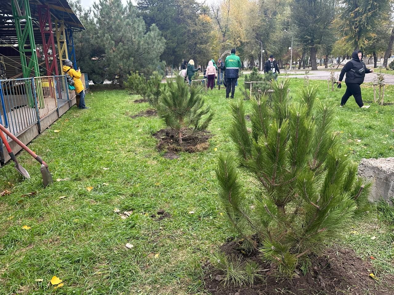 фото_2024-11-04_14-53-11