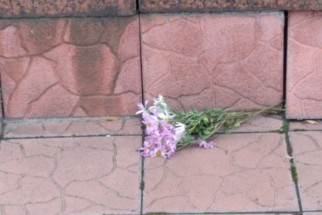 photo_2024-11-07_12-31-29