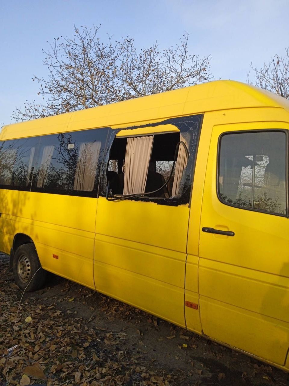 photo_2024-11-08_18-30-20