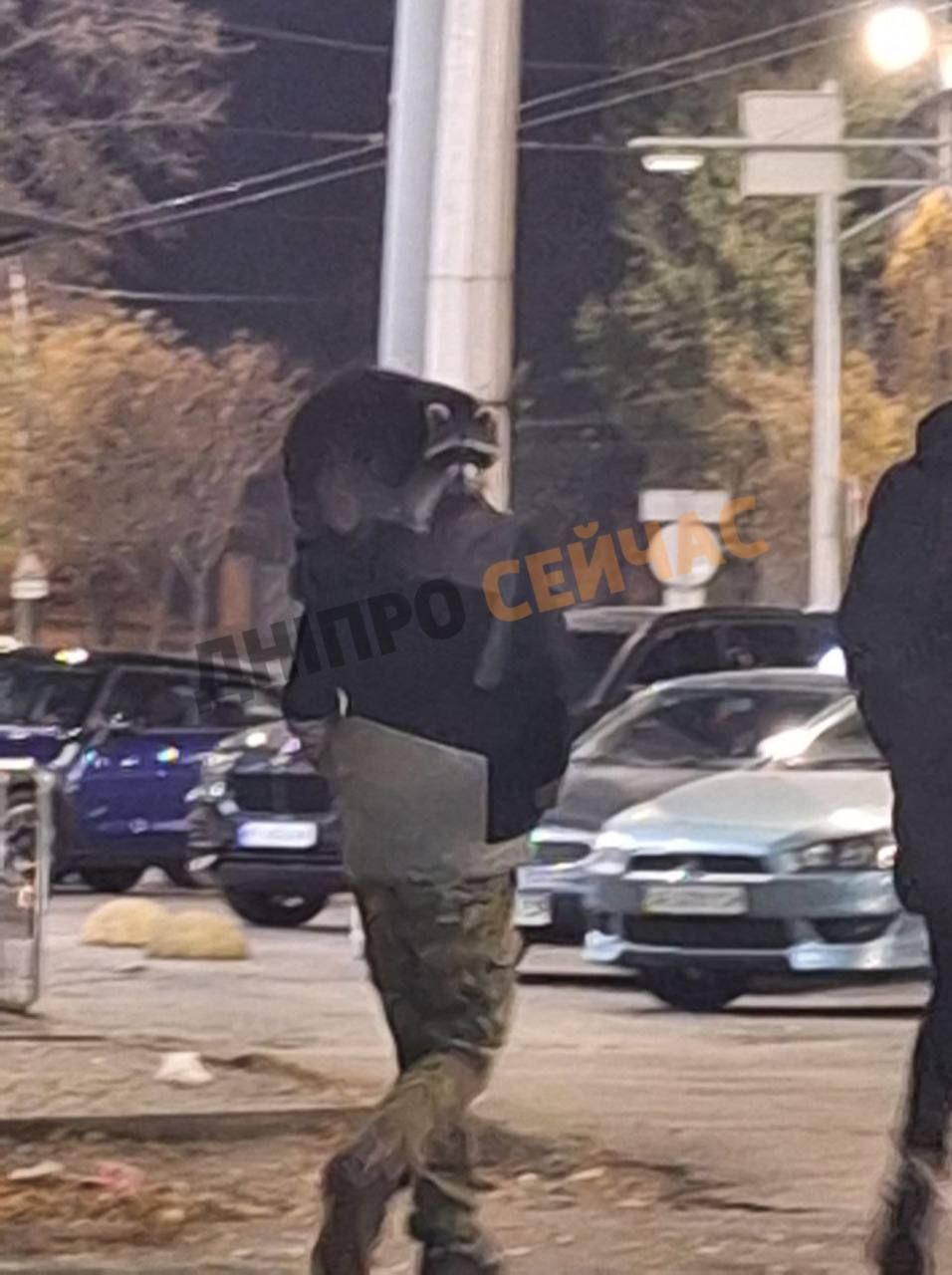 У Дніпрі на проспекті Науки вигулювали єнота (фото)