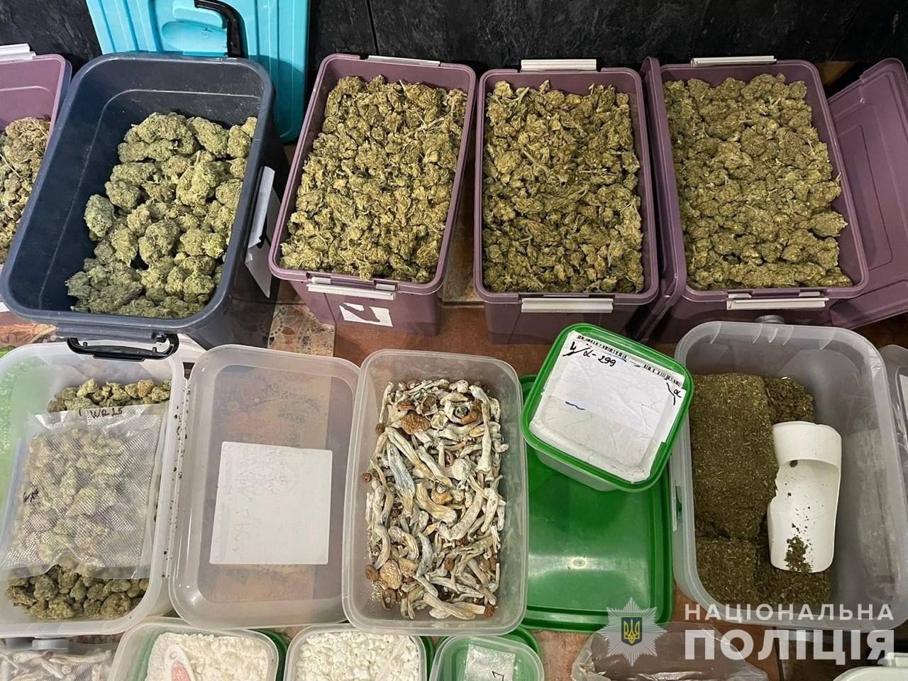 photo_2024-11-08_12-50-26 (3)