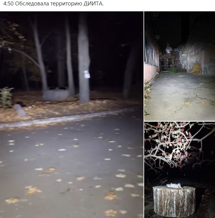 Главное, что жива: в Днепре вторую неделю ищут потерянную редкую сову