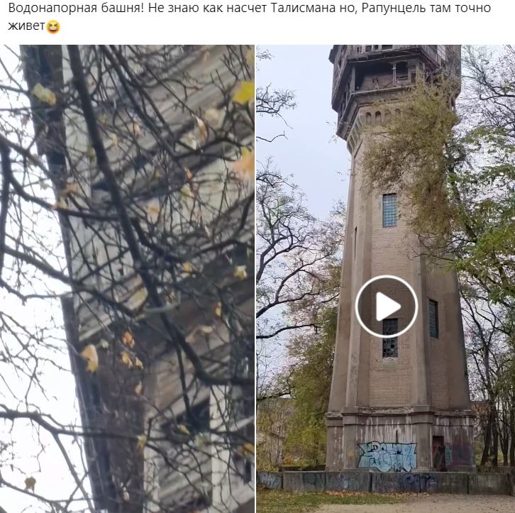 Главное, что жива: в Днепре вторую неделю ищут потерянную редкую сову