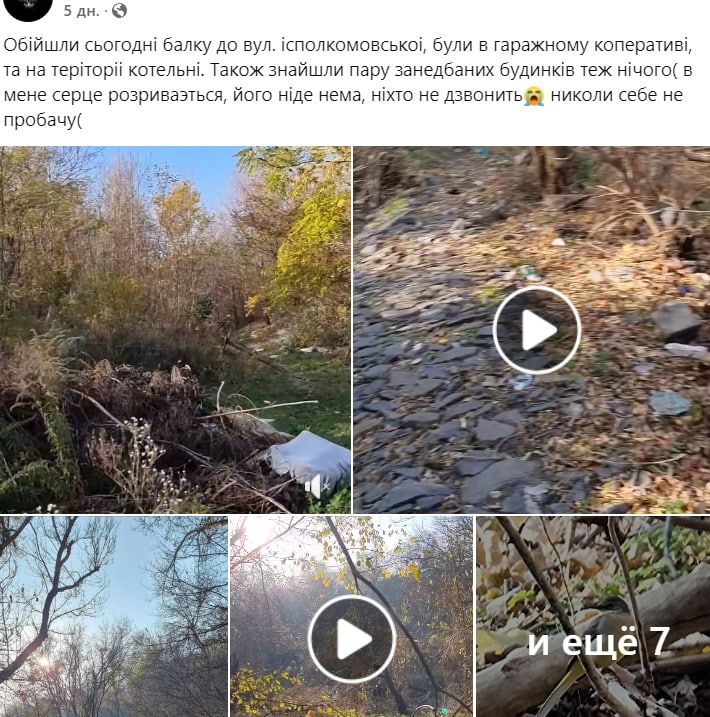 Главное, что жива: в Днепре вторую неделю ищут потерянную редкую сову