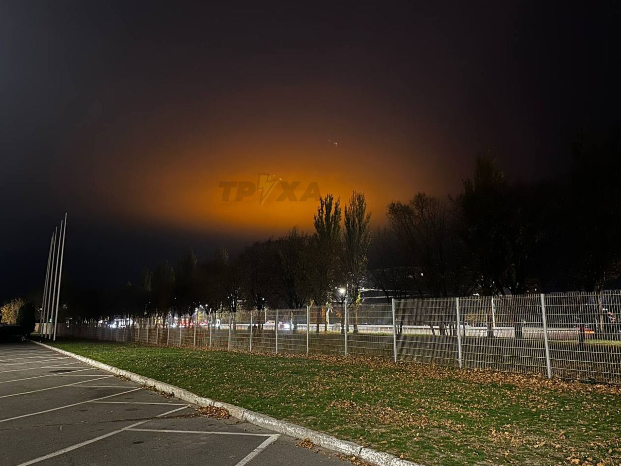 photo_2024-11-12_17-02-06