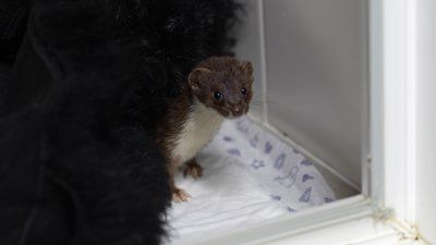 фото_2024-11-14_16-37-21