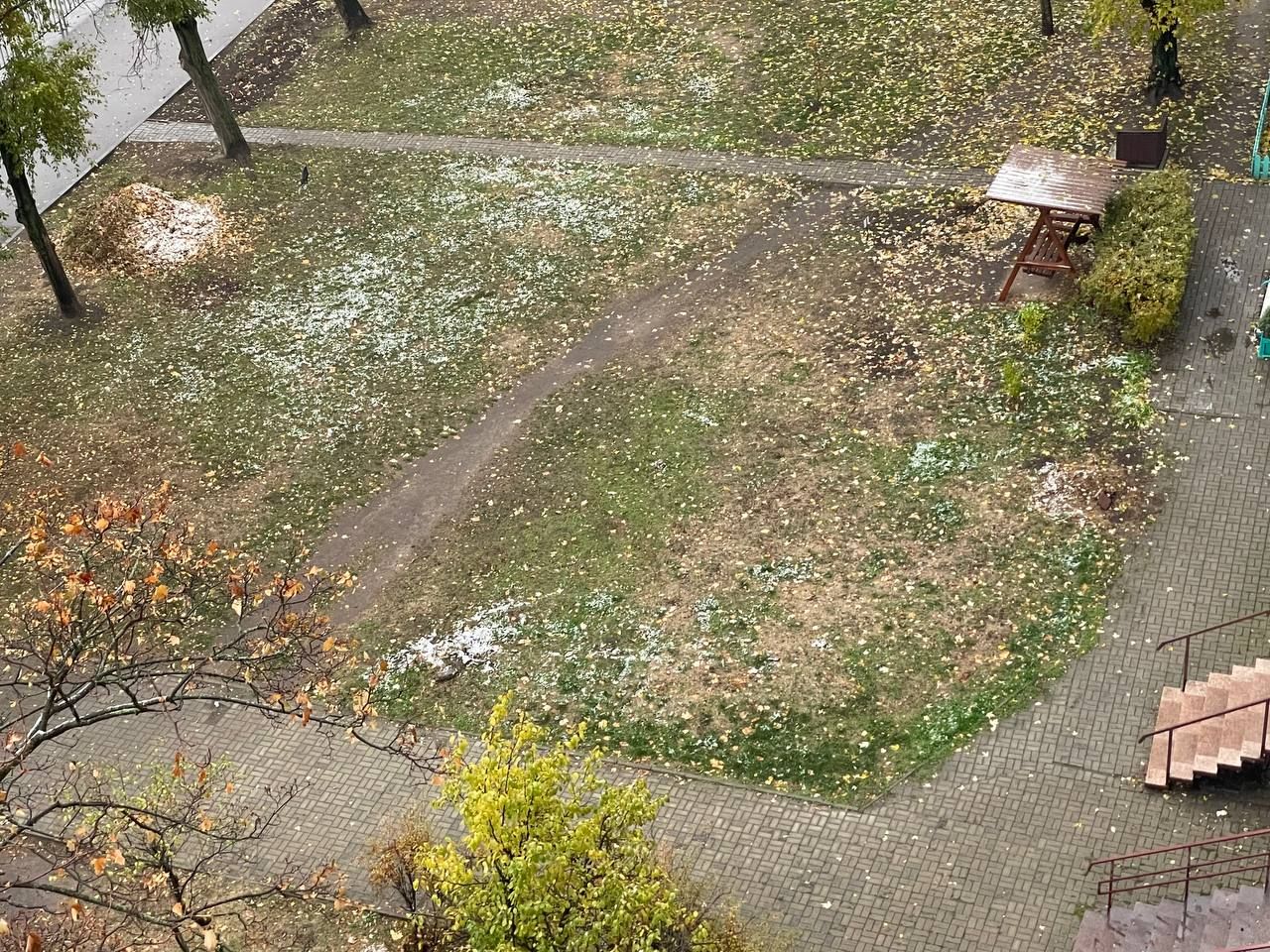 В Днепре ночью выпал первый снег: как выглядит город (фото)