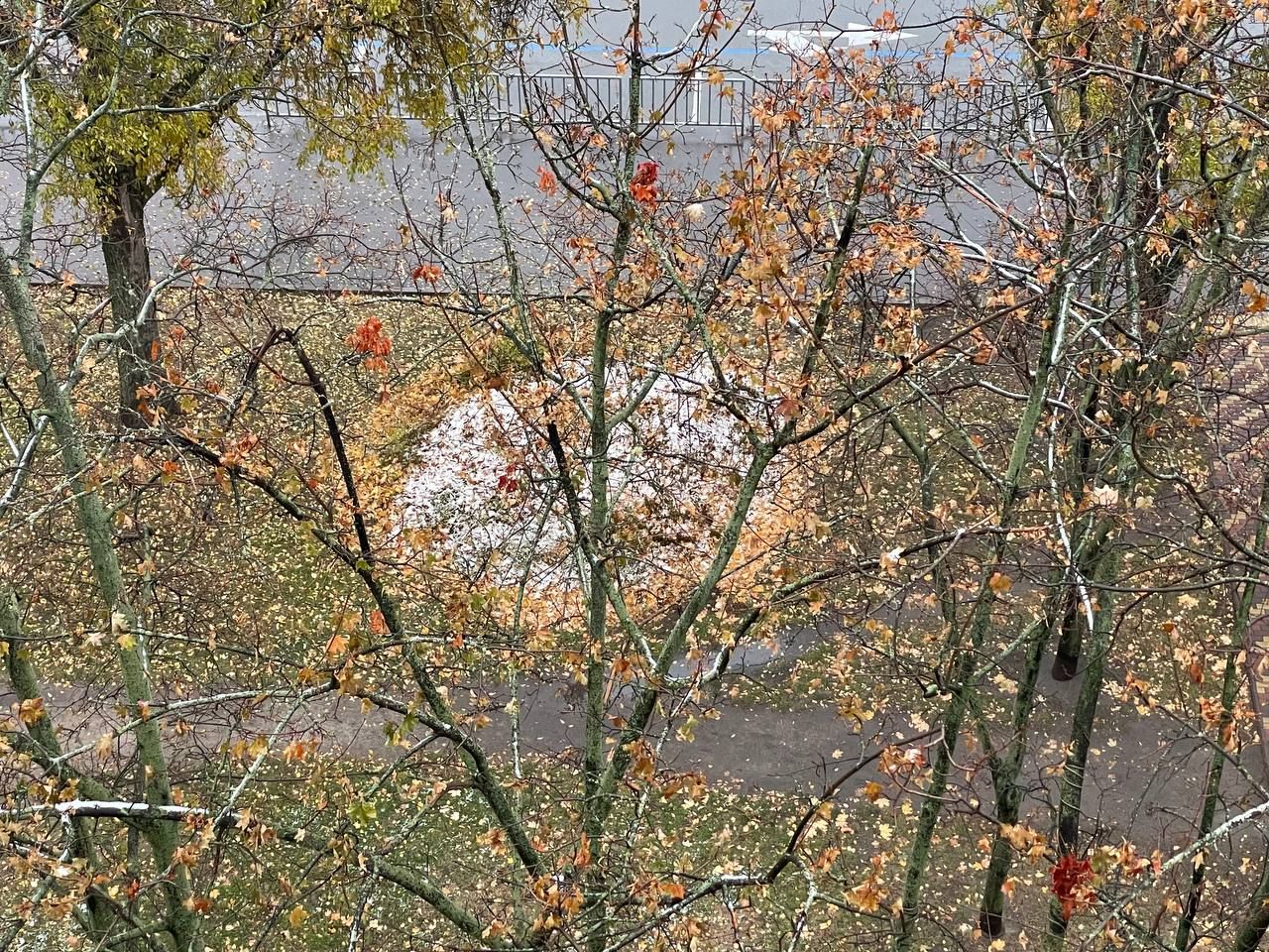 В Днепре ночью выпал первый снег: как выглядит город (фото)