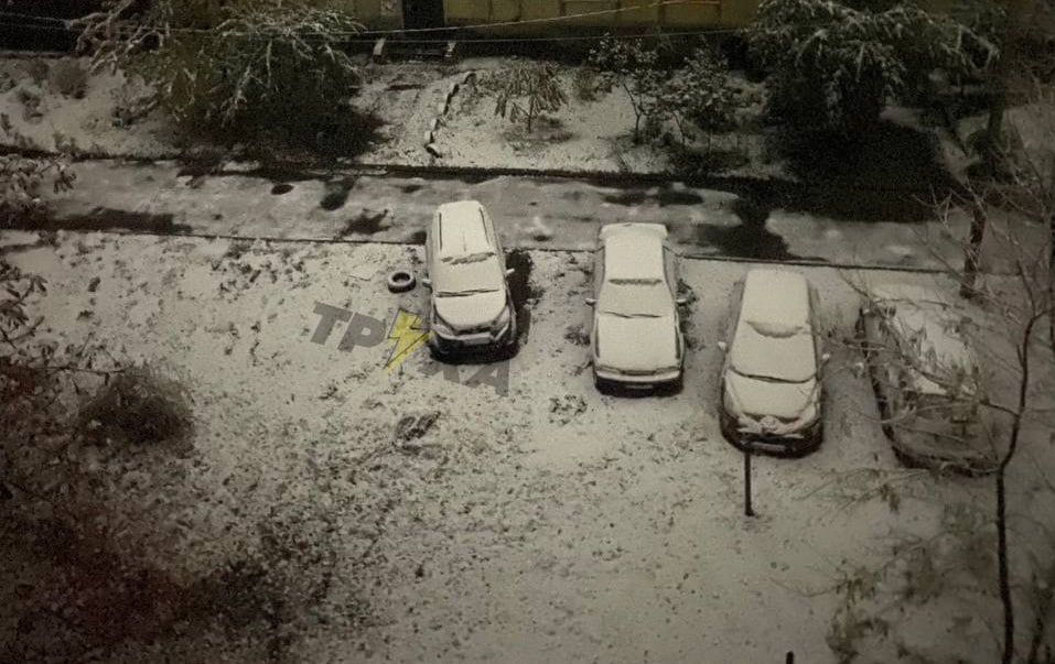 фото_2024-11-14_07-48-11