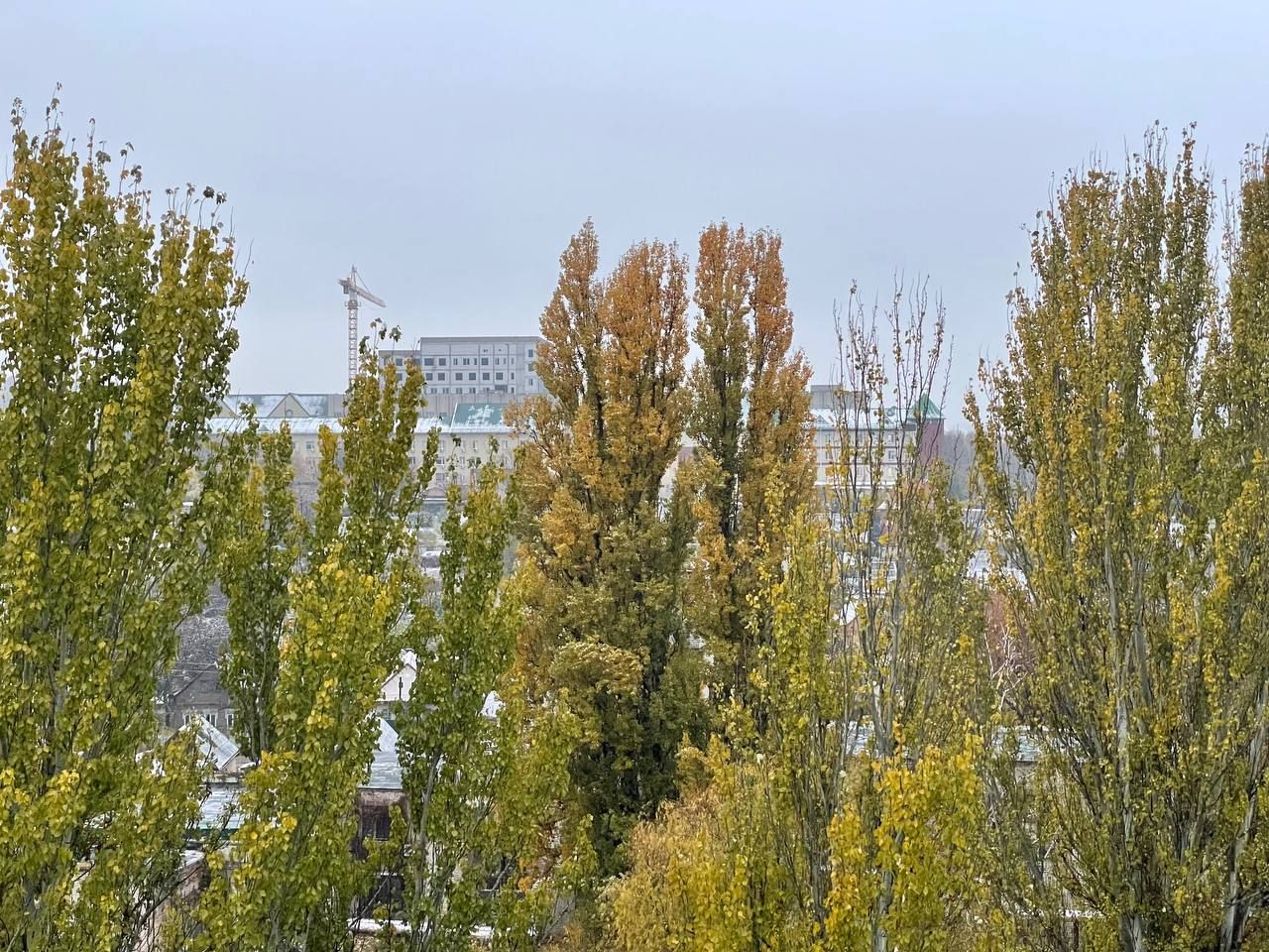 В Днепре ночью выпал первый снег: как выглядит город (фото)