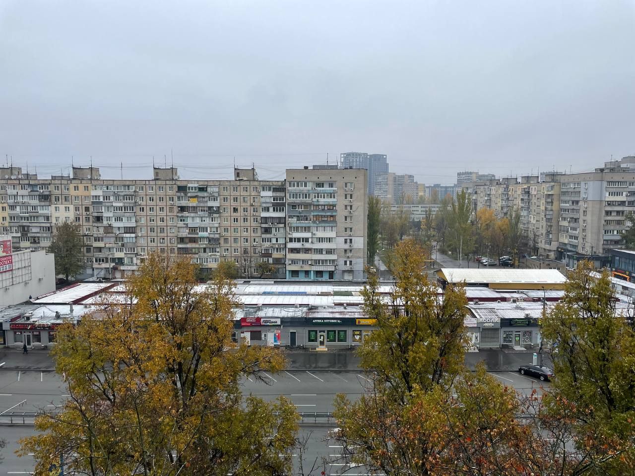 В Днепре ночью выпал первый снег: как выглядит город (фото)