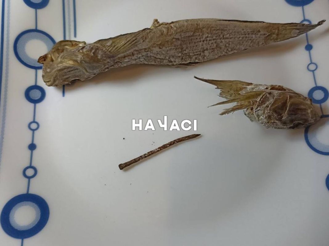 photo_2024-11-13_17-53-35 (1)