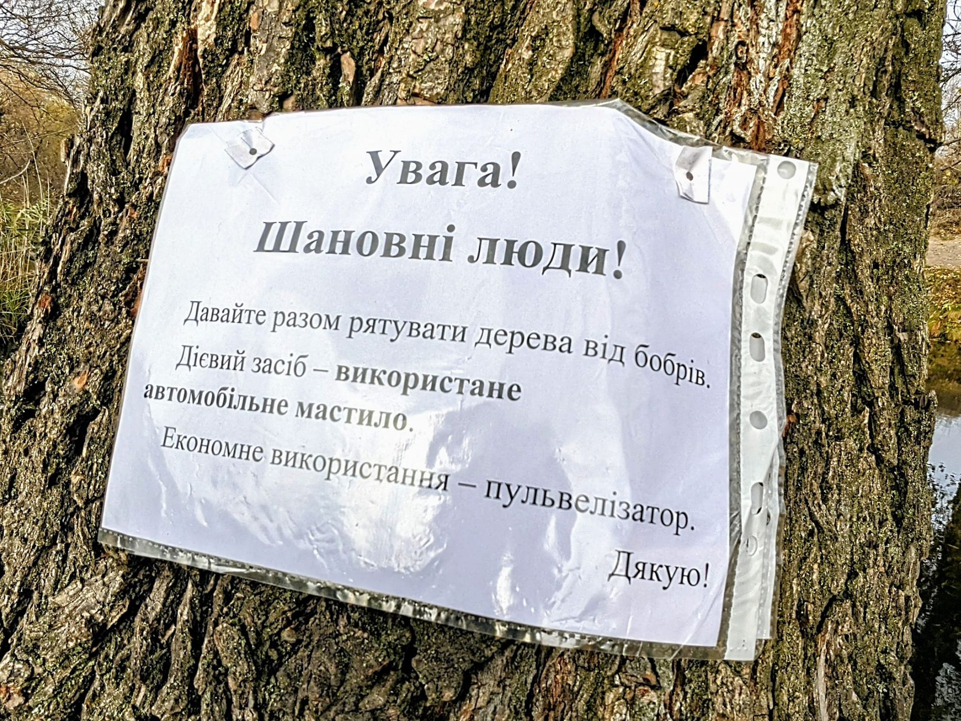466859583_8795804293830422_8135585714744716605_н (1) В Каменском появились противоречивые объявления