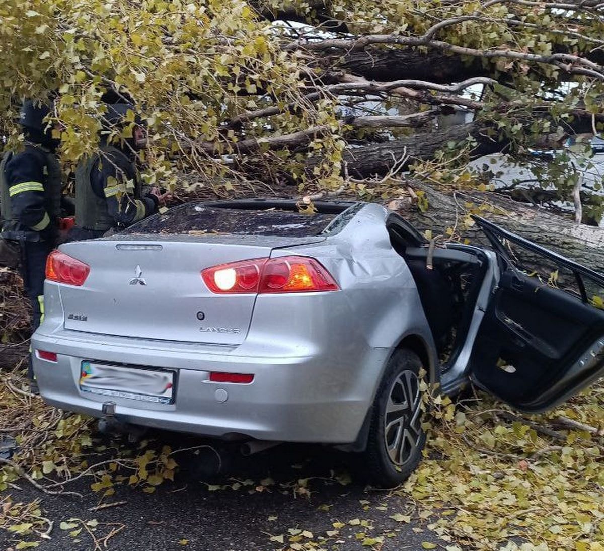 photo_2024-11-21_12-39-09 (2) Дерево впало на авто