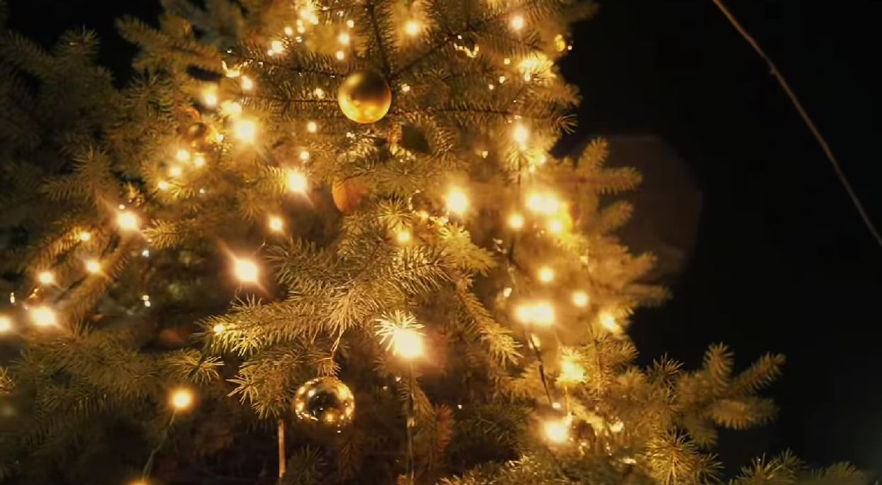 Где в Днепре засияла первая новогодняя елка и как она выглядит
