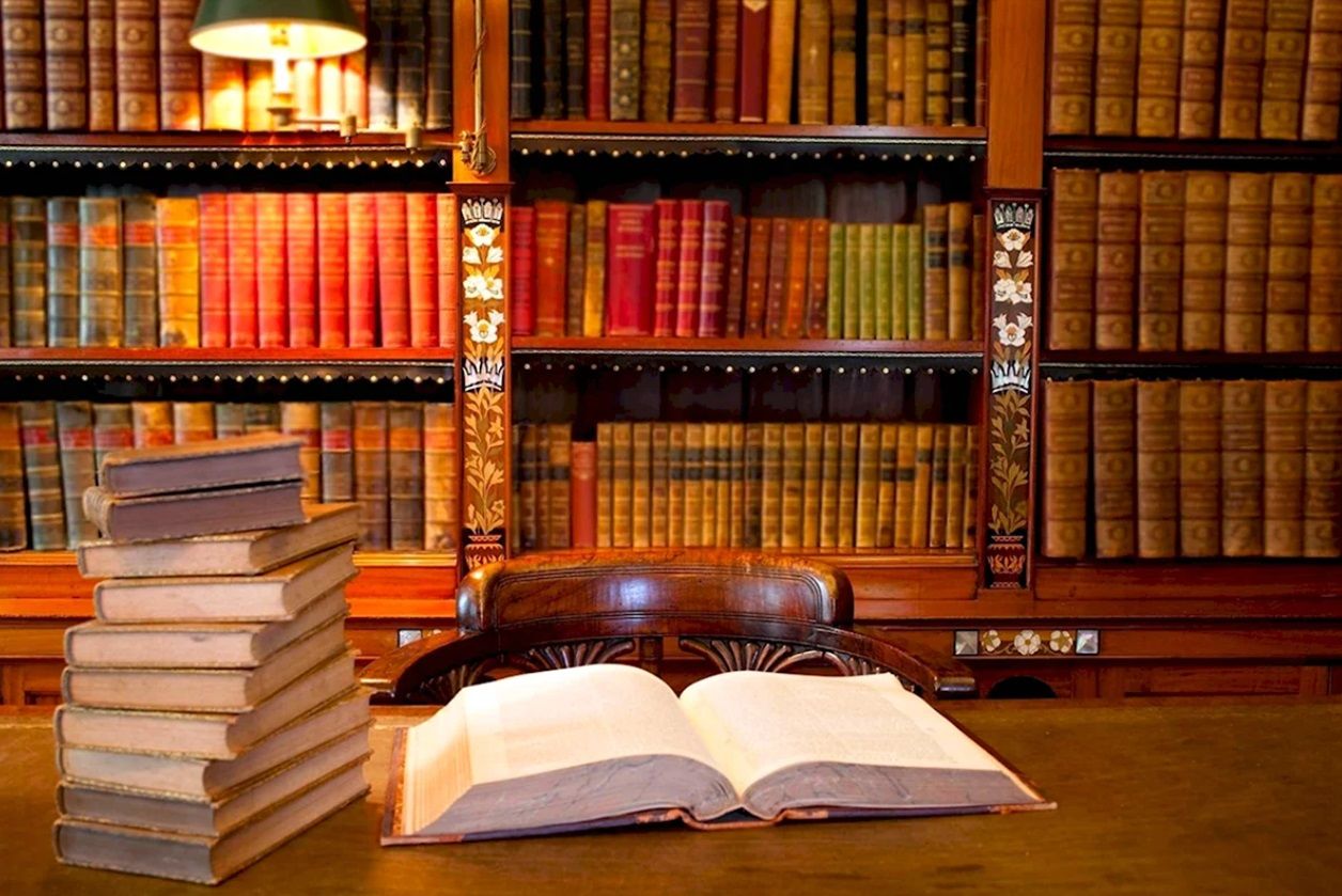 книга в библиотеке книги