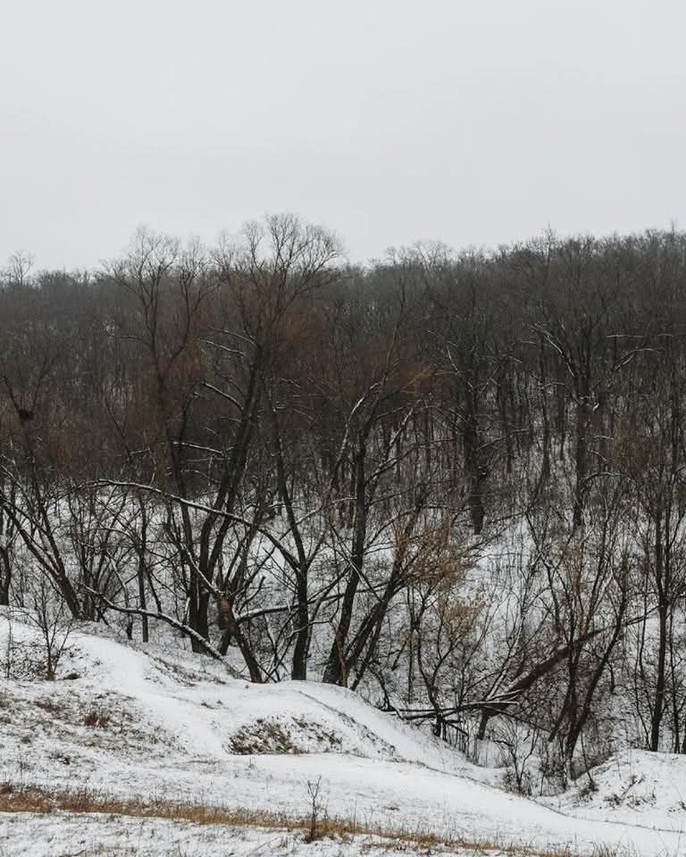 Зимняя сказка: где в Днепре можно увидеть "мини Карпаты"