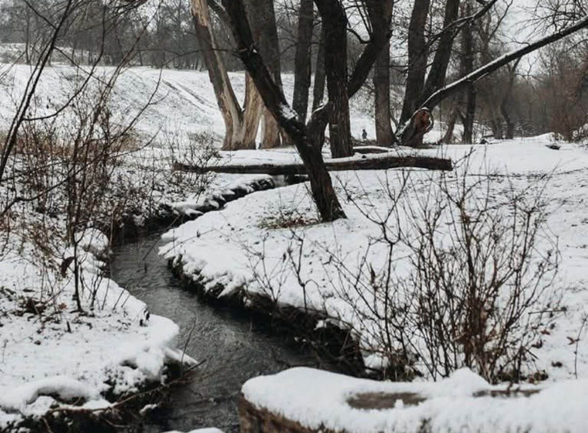 Зимняя сказка: где в Днепре можно увидеть "мини Карпаты"