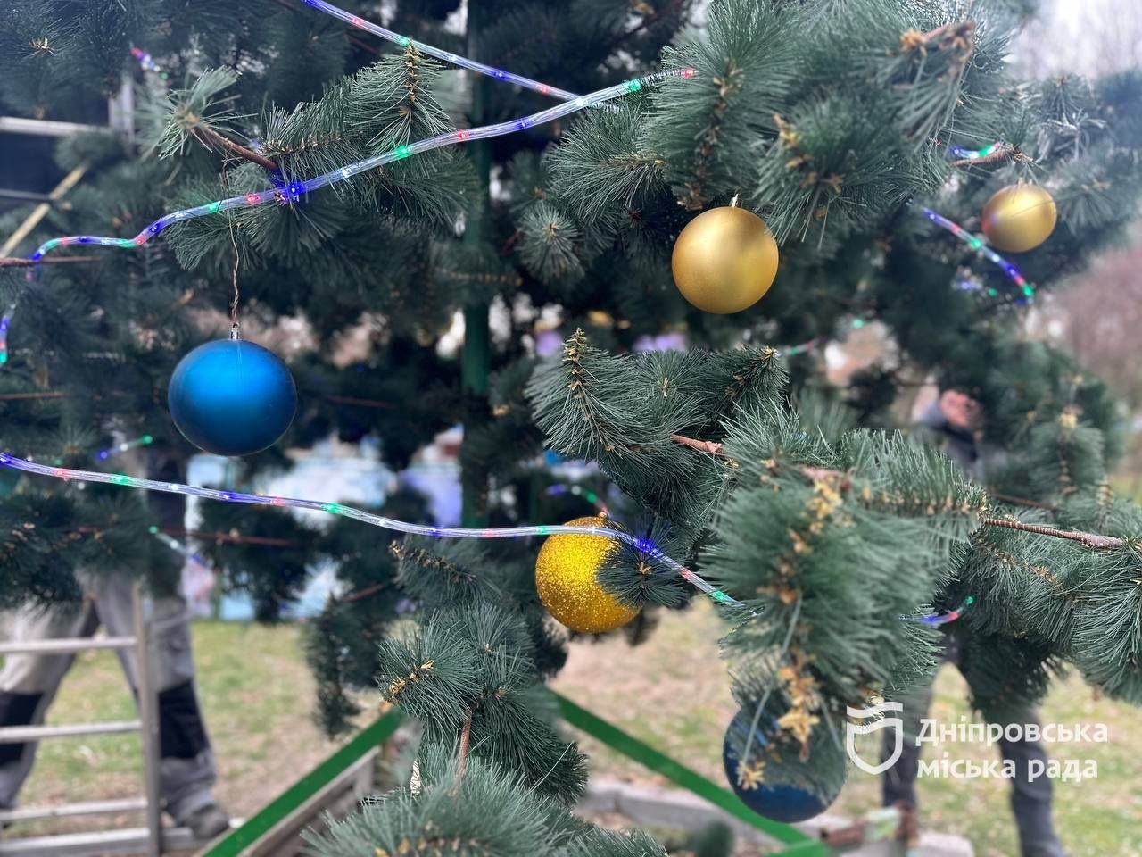У Дніпрі в Новокодацькому парку встановили ще одну ялинку: коли засяє 