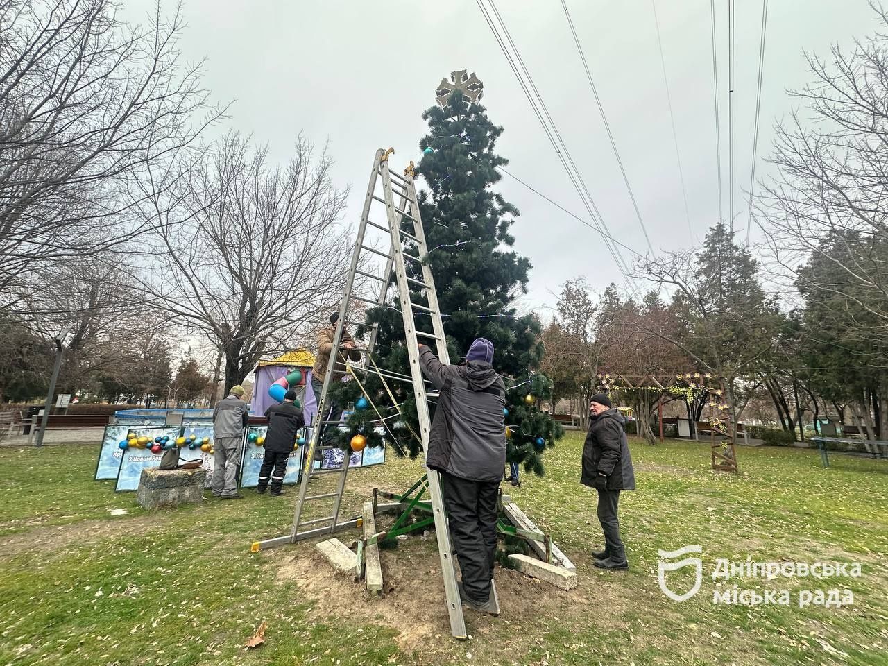 У Дніпрі в Новокодацькому парку встановили ще одну ялинку: коли засяє 
