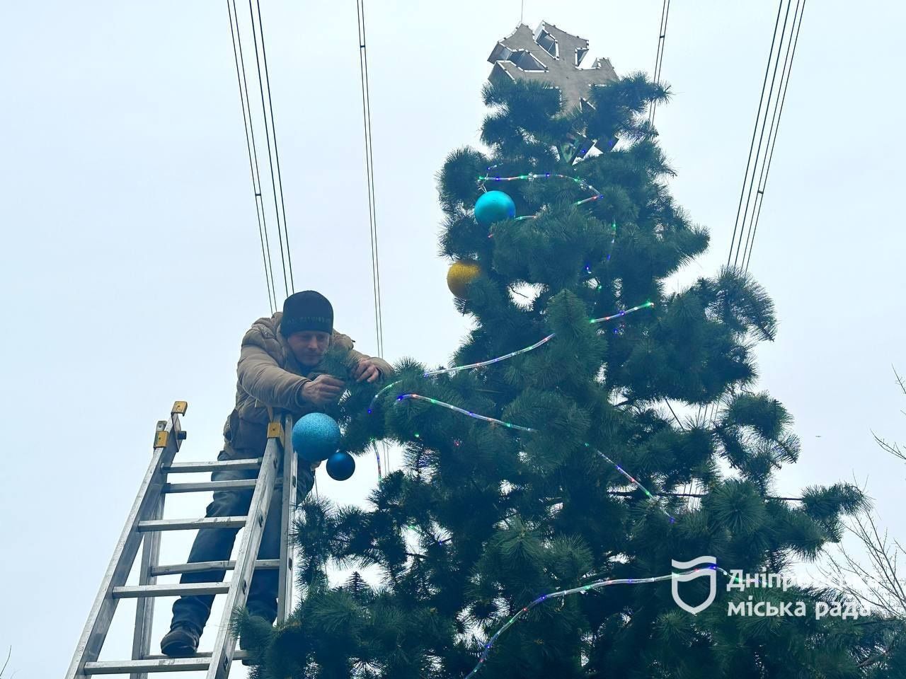 У Дніпрі в Новокодацькому парку встановили ще одну ялинку: коли засяє 