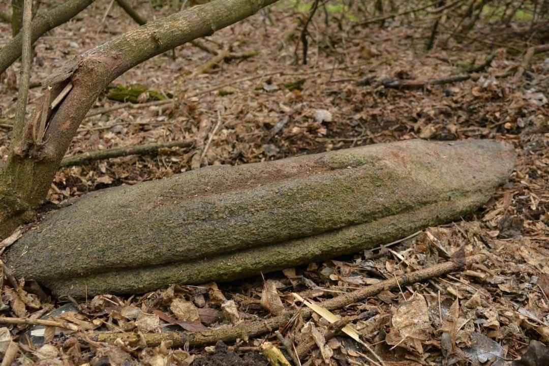 В Днепре обнаружили уникальную стелу эпохи энеолита (фото)