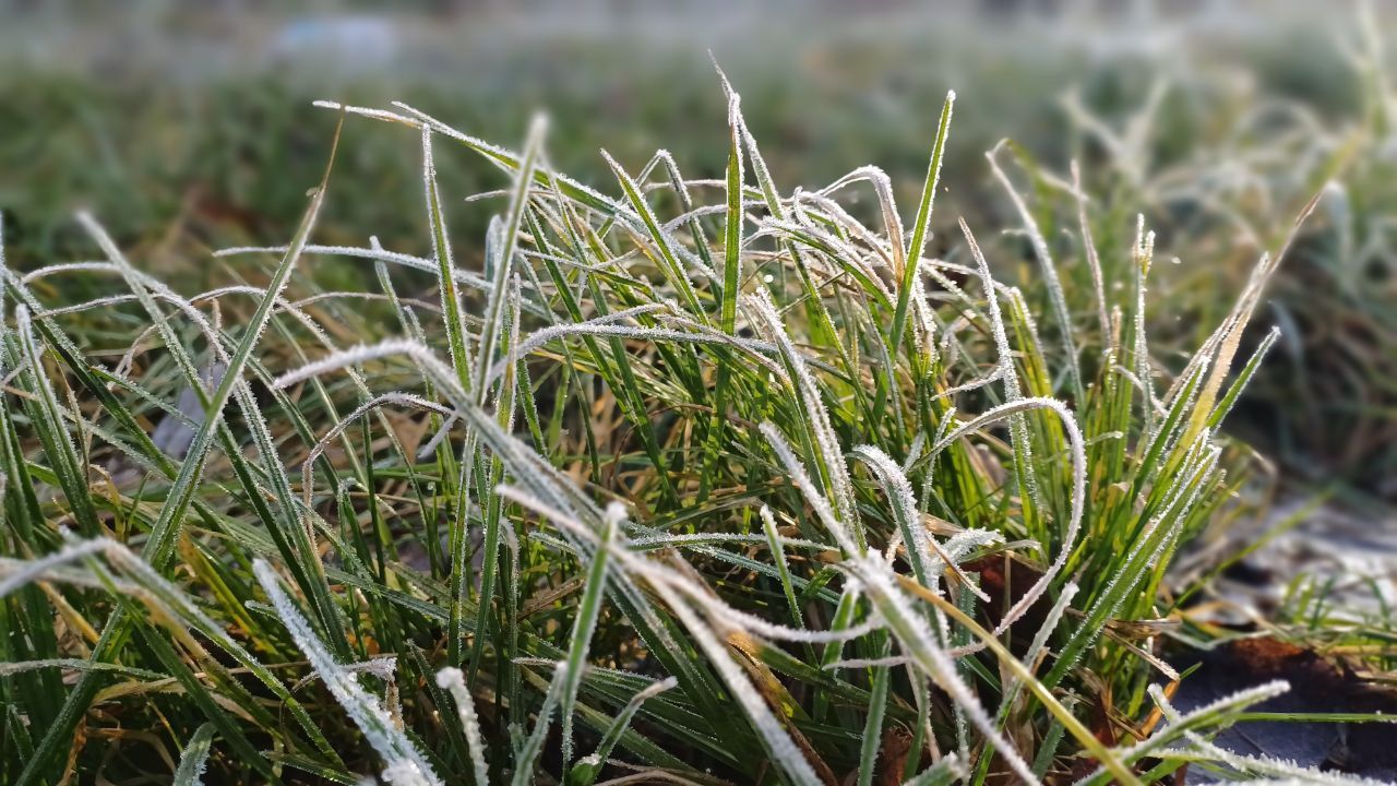 У Дніпрі сильний туман перетворив місто на Silent Hill (фото)