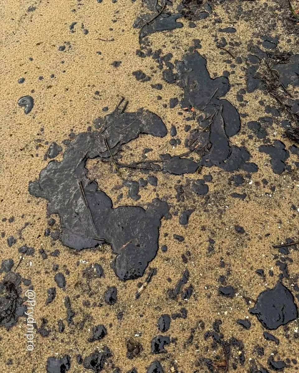 У Придніпровську на річці помітили дивні чорні плями та розводи