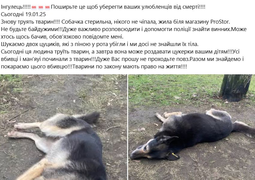 photo_2025-01-22_07-06-02