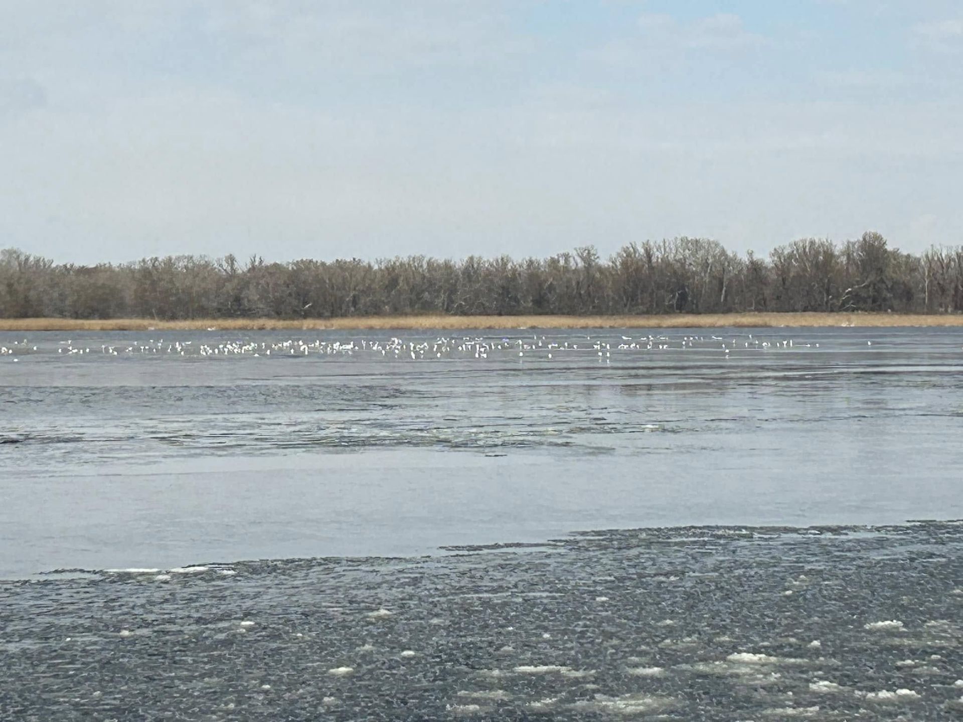 480223911_3095789743892840_1722031724659944950_н