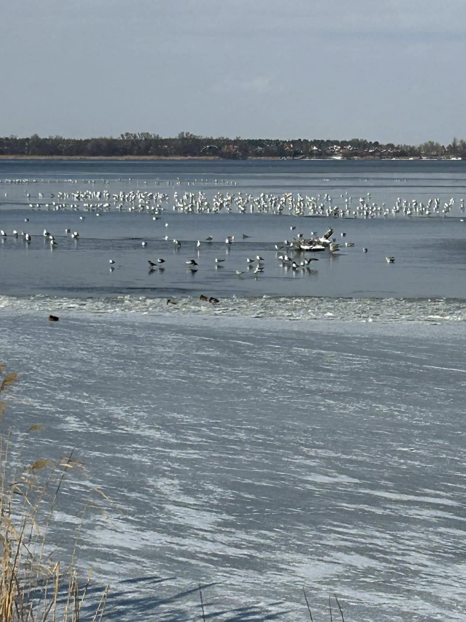 480556530_3095789907226157_7911499236439338565_н