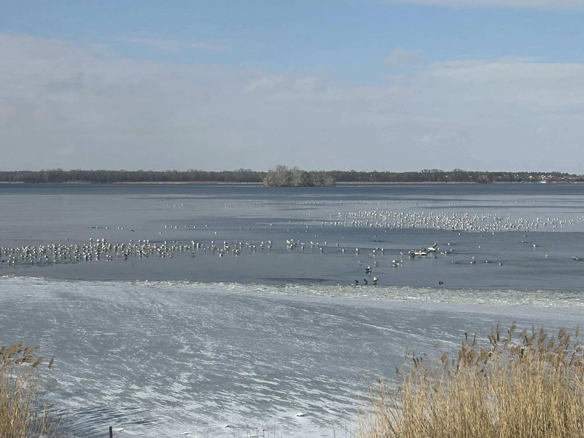 480223987_3095789733892841_8070930484697822649_н