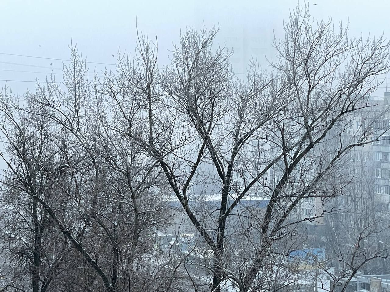 Видимость на дорогах ограничена: Днепр накрыл сильный туман