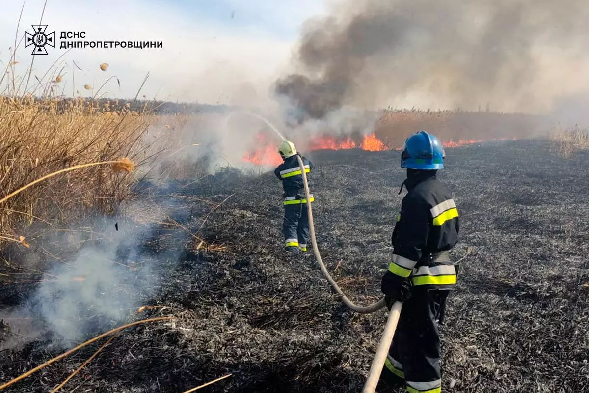 На Дніпропетровщині масово горіли екосистеми: за добу виникло 50 пожеж