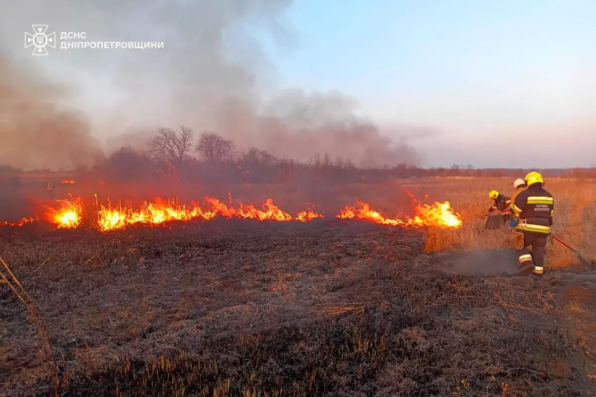 На Днепропетровщине за выходные сгорели более 150 га экосистем